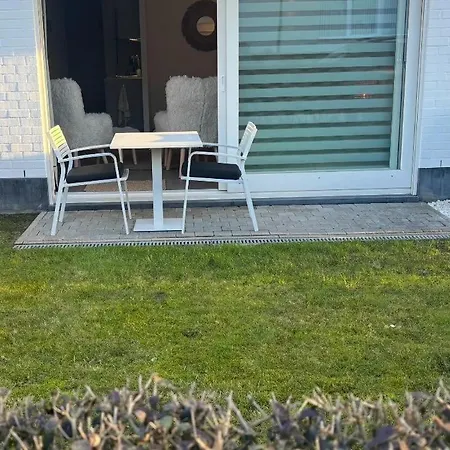 Met Tuintje Nabij Hond Welkom *