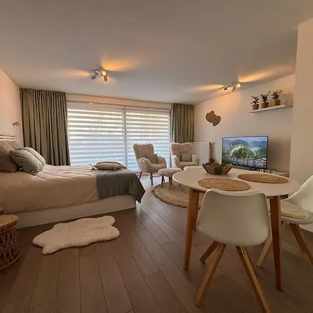 Met Tuintje Nabij Hond Welkom Appartement