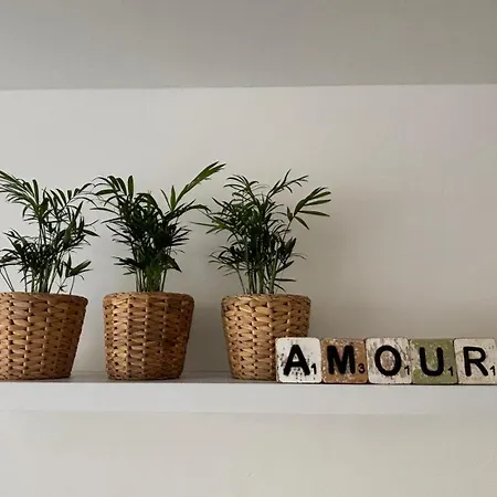 Appartement Met Tuintje Nabij Hond Welkom