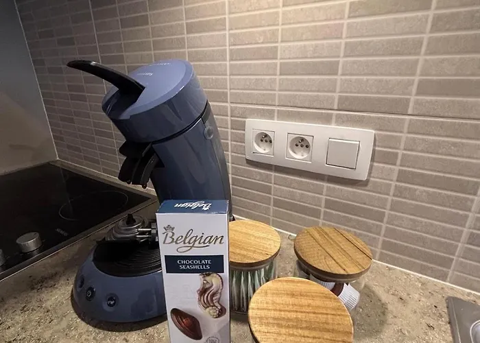 Met Tuintje Nabij Hond Welkom בלנקנברג